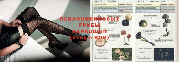 ALPHA-PVP Новодвинск
