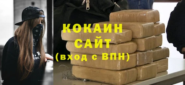 стафф Новокубанск