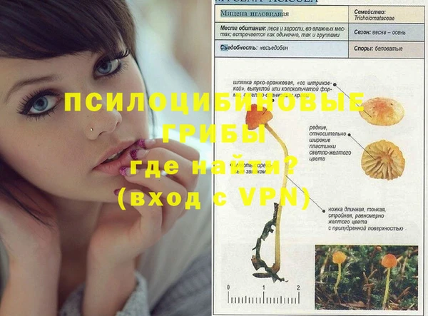стафф Новокубанск