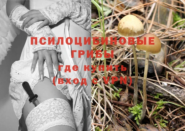 стафф Новокубанск