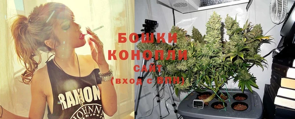 стафф Новокубанск