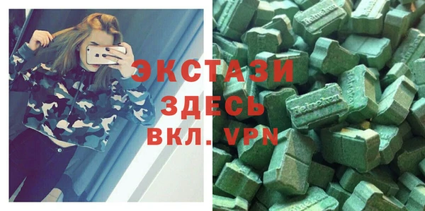 гашик Новозыбков