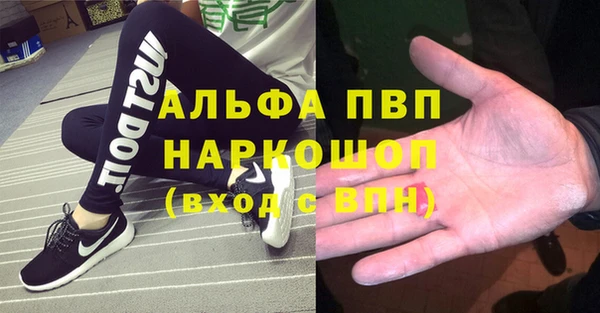 гашик Новозыбков