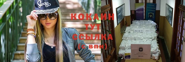 индика Бердск