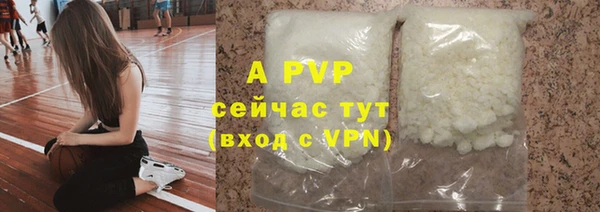гашик Новозыбков