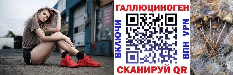 закладка  Бодайбо  гидра ссылка  Псилоцибиновые грибы Psilocybe 